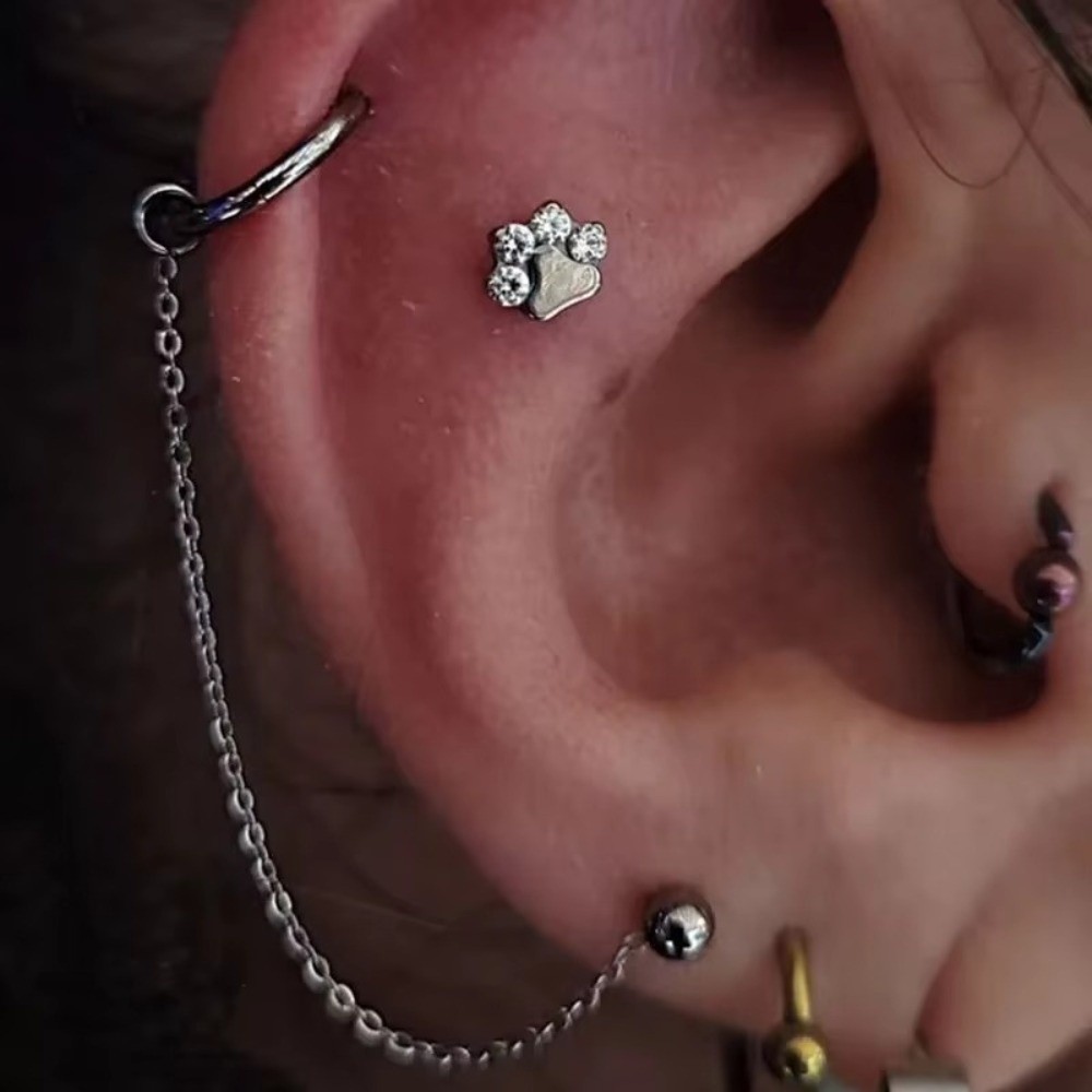 티타늄 코 체인 3중 체인 더블 체인 코구멍 체인 DI - Body Jewelry And Piercing 리뷰 및 가격
