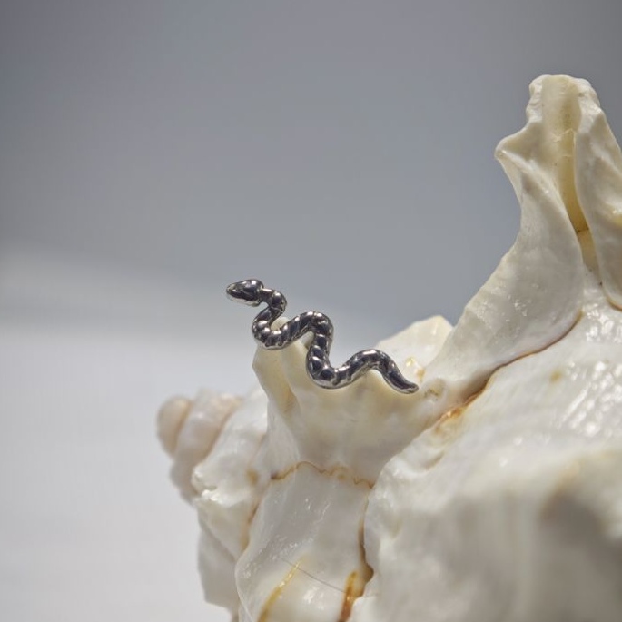 16G 티타늄 임플란트 등급 고광택 내부 나사형 스네이 - Body Jewelry Implant Grade Titanium 리뷰 및 가격