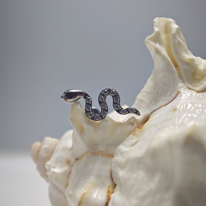 16G 티타늄 임플란트 등급 고광택 내부 나사형 스네이 - Body Jewelry Implant Grade Titanium 리뷰 및 가격