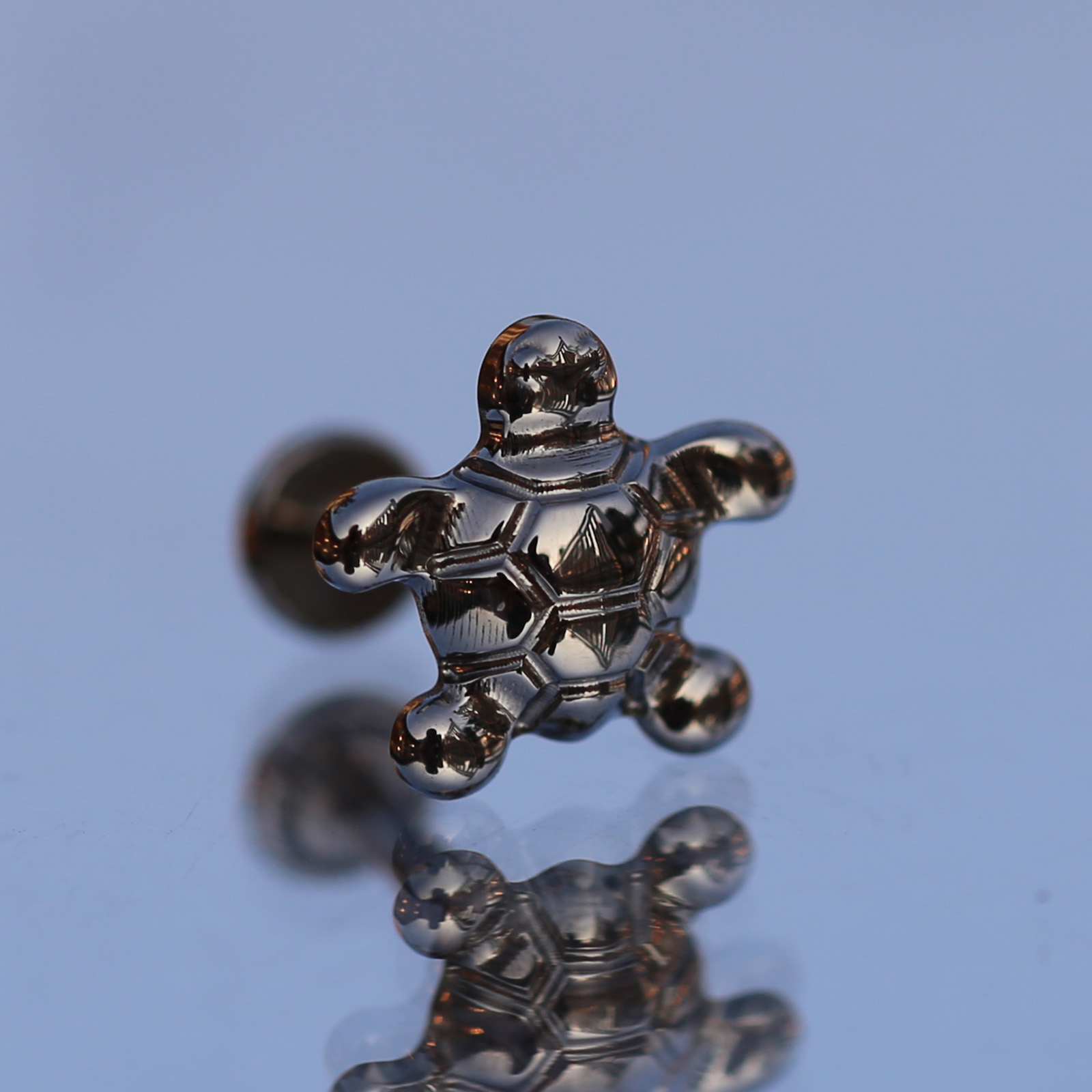 16G 임플란트 등급 티타늄 내부 스레드 나사, 거북이 - Body Jewelry Implant Grade Titanium 리뷰 및 가격